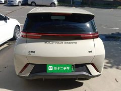 BYD Seagull 2023 Freedom Edition - ფოტო 6