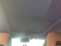 BYD Han 2022 DM-P 202KM AWD Flagship - ფოტო 18