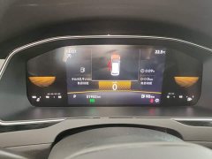 Volkswagen Magotan 2 Million Units Commemorative Edition 330TSI DSG Leading Version - ფოტო 8