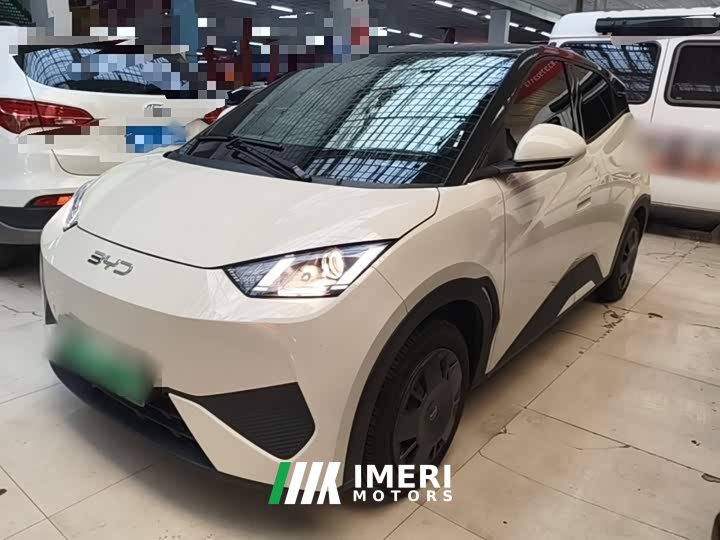 BYD Seagull 305km Vitality Edition - ავტომობილი ჩინეთიდან