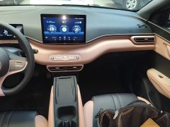 BYD Seagull 305km Vitality Edition - ფოტო 13