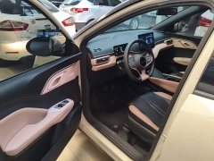 BYD Seagull 305km Vitality Edition - ფოტო 16