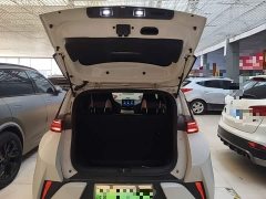 BYD Seagull 305km Vitality Edition - ფოტო 19