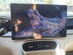 Geely Star Wish 310km Dream Edition - ფოტო 9