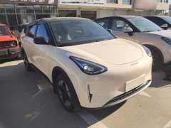 Geely Star Wish 310km Dream Edition - ფოტო 3