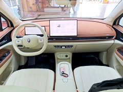 ORA Good Cat 2025 430km Deluxe Edition - ფოტო 10