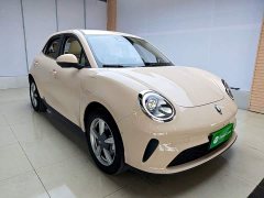 ORA Good Cat 2025 430km Deluxe Edition - ფოტო 4