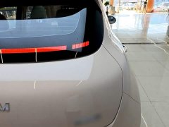 ORA Good Cat 2025 430km Deluxe Edition - ფოტო 8