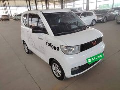 Wuling Hongguang MINIEV 2020 Zizai Edition LFP Battery - ფოტო 4