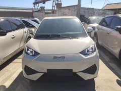 BYD Seagull 2025 Smart Drive 405km Freedom Edition - ფოტო 3