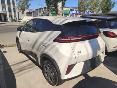 BYD Seagull 2025 Smart Drive 405km Freedom Edition - ფოტო 5