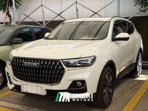 2024 Haval H6 2023 National Trend Edition 1.5T Automatic Urban Version - ავტომობილი ჩინეთიდან