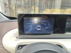 Wuling Binguo 333km Joy Edition - ფოტო 12