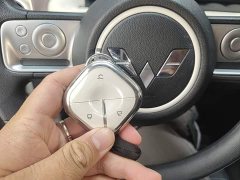 Wuling Binguo 333km Joy Edition - ფოტო 9