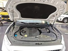 Geely Emgrand 1.8T Pilot Plus - ფოტო 20