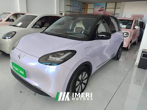 2024 Wuling Bingo 410km Lingxi Premium Edition
