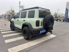 Tank 300 2021 2.0T Wind Forest Iron Cavalry - ფოტო 17