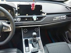 Chery 8 230TCI Fashion Edition - ფოტო 13
