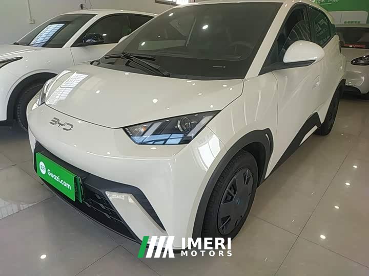 BYD Seagull Glory Edition 305km Vitality Version - ავტომობილი ჩინეთიდან
