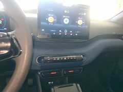 BYD Seagull Glory Edition 305km Vitality Version - ფოტო 13