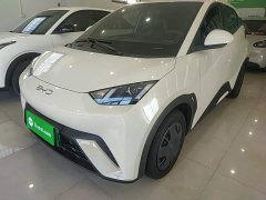 BYD Seagull Glory Edition 305km Vitality Version - ფოტო 2
