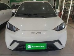 BYD Seagull Glory Edition 305km Vitality Version - ფოტო 3