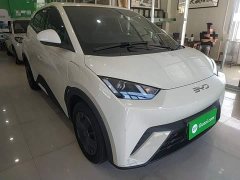BYD Seagull Glory Edition 305km Vitality Version - ფოტო 4