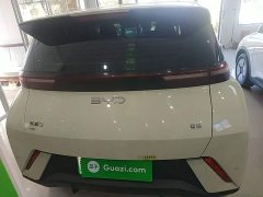 BYD Seagull Glory Edition 305km Vitality Version - ფოტო 6
