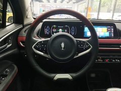 Ora GT Edition 401kmStandard Range - ფოტო 11