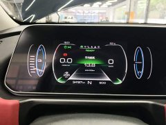 Ora GT Edition 401kmStandard Range - ფოტო 12