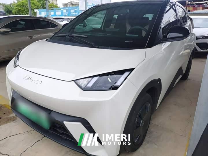 BYD Seagull Glory Edition 305km Vitality Version