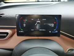BYD Seagull Glory Edition 305km Vitality Version - ფოტო 12