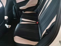 BYD Seagull Glory Edition 305km Vitality Version - ფოტო 17