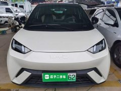 BYD Seagull Glory Edition 305km Vitality Version - ფოტო 3