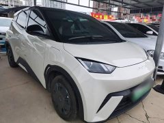 BYD Seagull Glory Edition 305km Vitality Version - ფოტო 4
