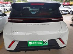 BYD Seagull Glory Edition 305km Vitality Version - ფოტო 6