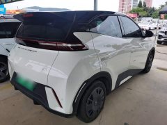 BYD Seagull Glory Edition 305km Vitality Version - ფოტო 7