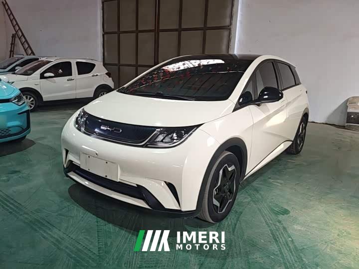BYD Dolphin 405km Fashion Edition