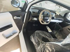 Changan Lumin Treasure Edition 205km Cool Love White CATL - ფოტო 12