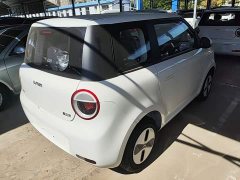 Changan Lumin Treasure Edition 205km Cool Love White CATL - ფოტო 5