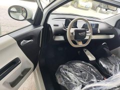 Changan Lumin Treasure Edition 205km Cool Love White CATL - ფოტო 12
