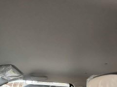 Changan Lumin Treasure Edition 205km Cool Love White CATL - ფოტო 14