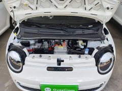 Changan Lumin Treasure Edition 205km Cool Love White CATL - ფოტო 16