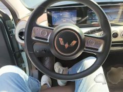 Wuling Binguo 2023 333km Joy Edition - ფოტო 11