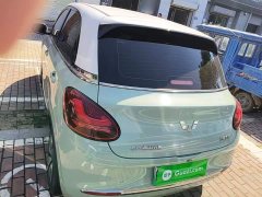 Wuling Binguo 2023 333km Joy Edition - ფოტო 6