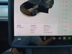 Tesla Model Y Long Range All-Wheel Drive - ფოტო 12