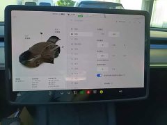 Tesla Model Y Long Range All-Wheel Drive - ფოტო 13
