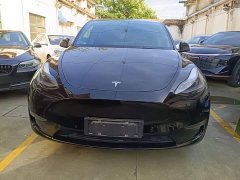 Tesla Model Y Long Range All-Wheel Drive - ფოტო 3