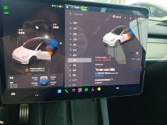 Tesla Model Y Performance All-Wheel Drive - ფოტო 12