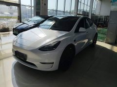 Tesla Model Y Performance All-Wheel Drive - ფოტო 2